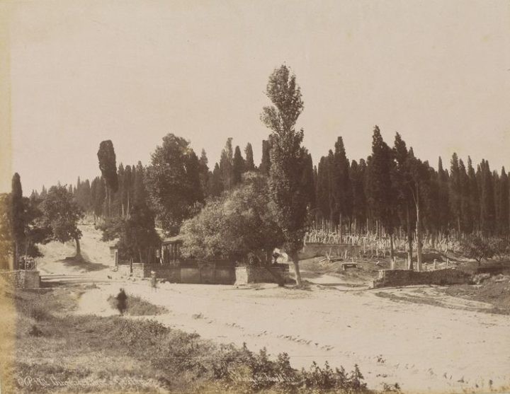180. Cimetière turc à Scutari. 1890s.