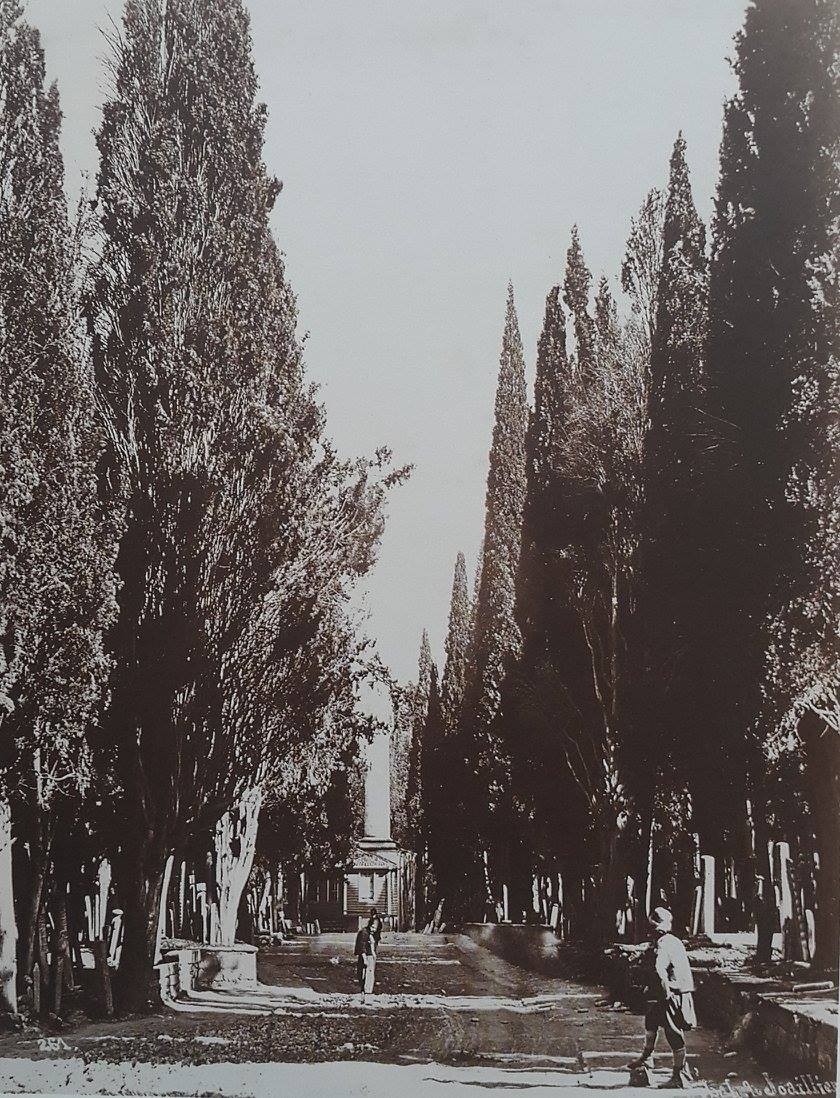 261. Cimetière à Scutari. 1890s.