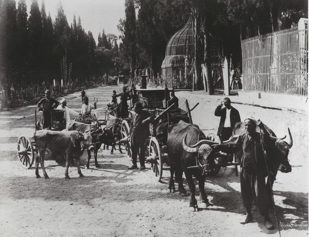 291. Chariots turcs et le cimetière à Scutari. 1890s.