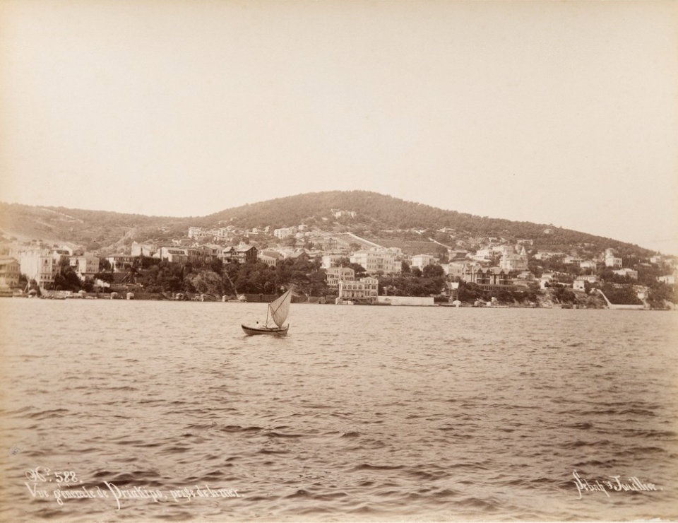 588. Vue générale de Prinkipo. Prise de la mer. 1890s.