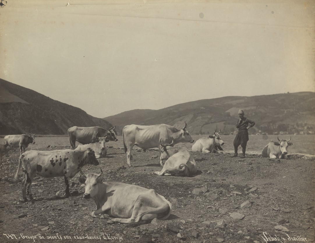 747. Groupe de commerce aux Eaux douces d'Europe. 1895.